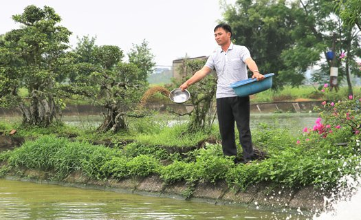 Quyết chí làm giàu trên đất quê hương